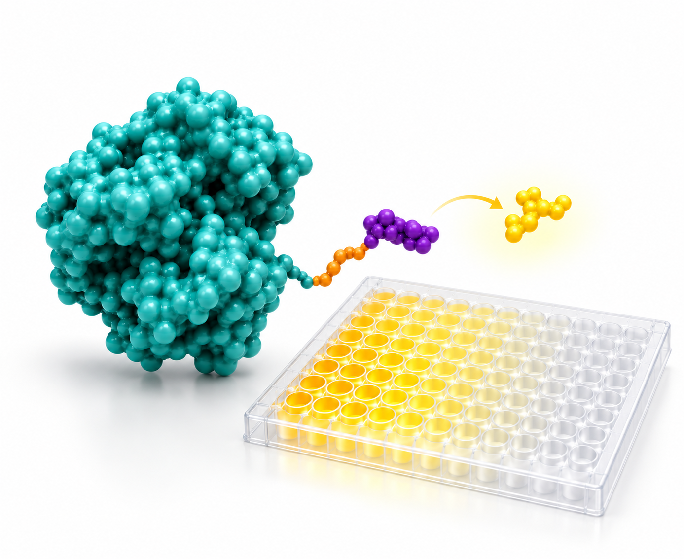 Trypsin Activity Assay Kit – colorimetric microplate enzyme assay