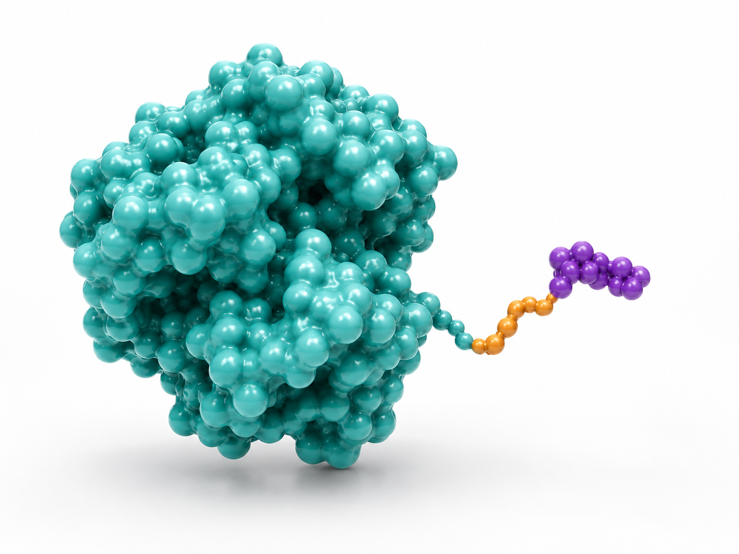 Affinity-Removable Recombinant Trypsin